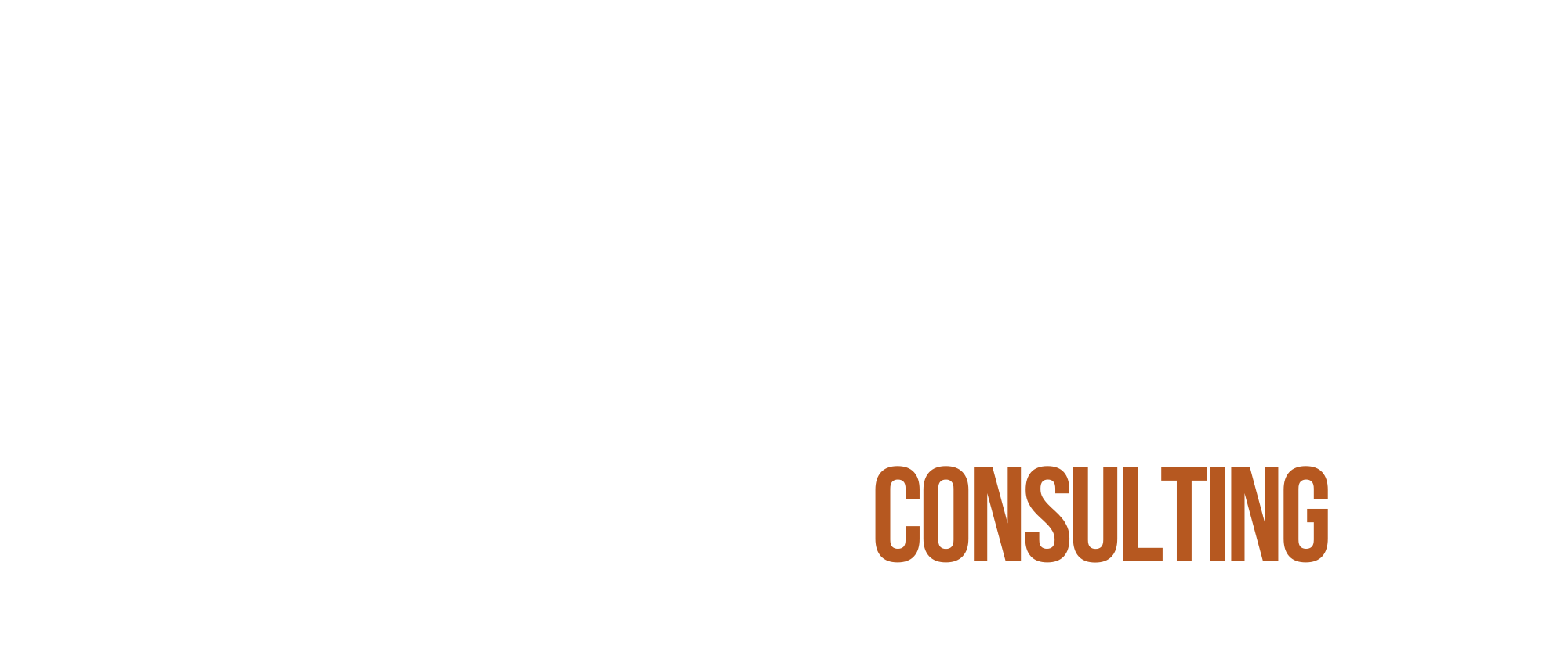 Onespot Consulting